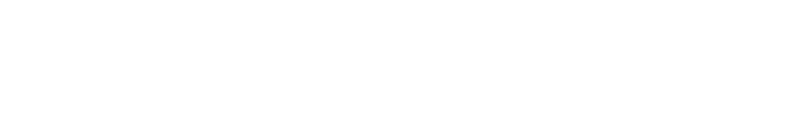 Network-IT Hosting